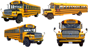 Psychological Training for Bus Drivers